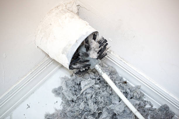 Best HVAC Duct Inspection Services  in Windsor, IL